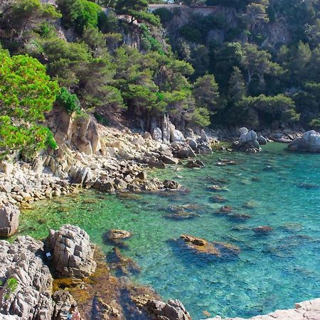 Detached villa for 6 People in Lloret de Mar Puigventos Eksteriør billede
